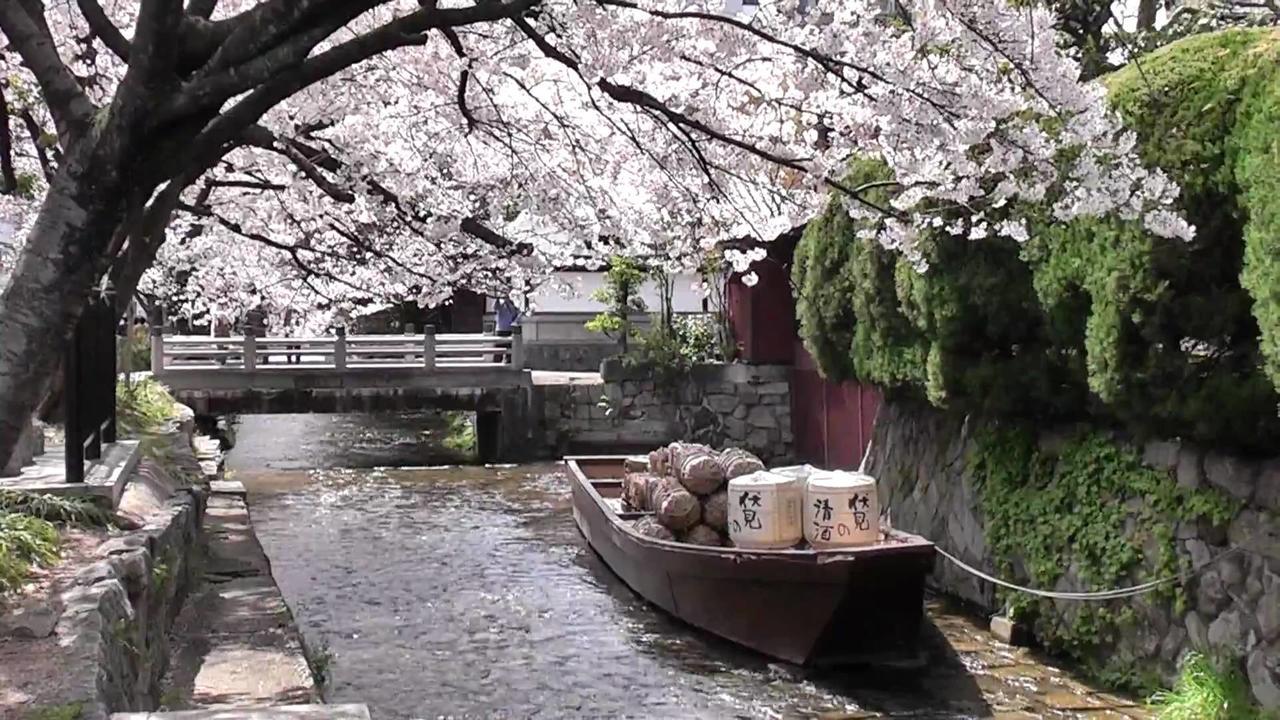 Kyoto Miyabi Quioto Exterior foto